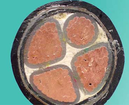 點擊查看詳細信息...